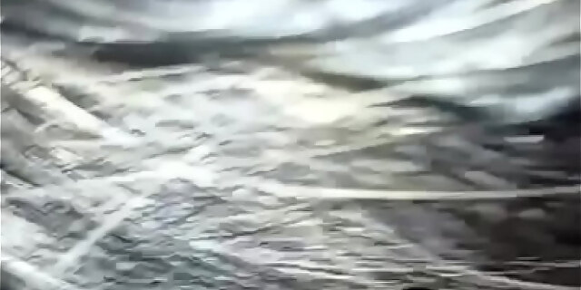 oral